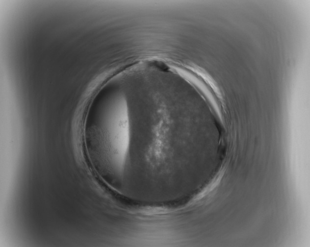 X0000099570577200805231533