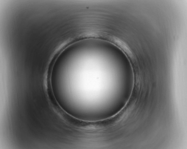 X0000099570578200805231533