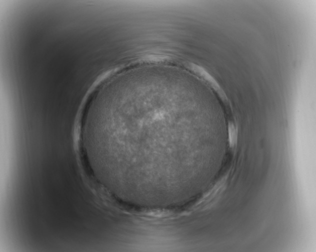 X0000099570579200805231533