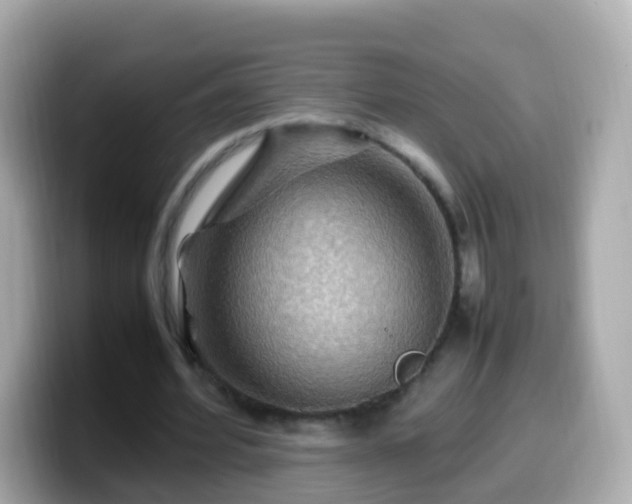 X0000099570580200805231533