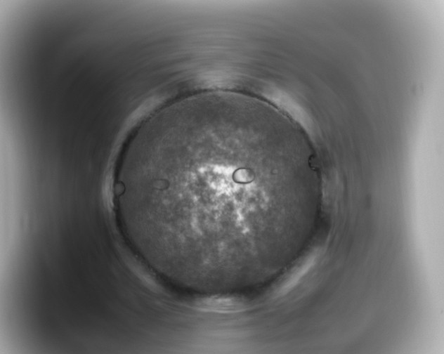 X0000099570581200805231533