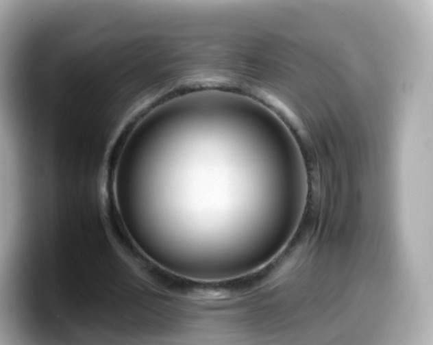 X0000099570582200805231533