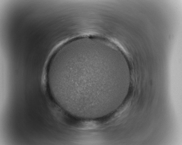 X0000099570583200805231533