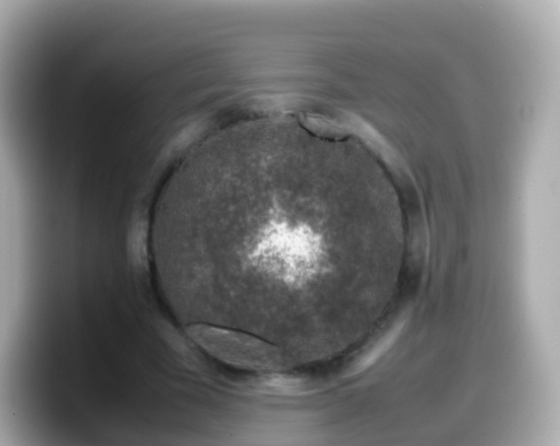 X0000099570585200805231533