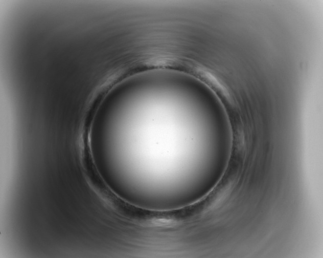 X0000099570586200805231533