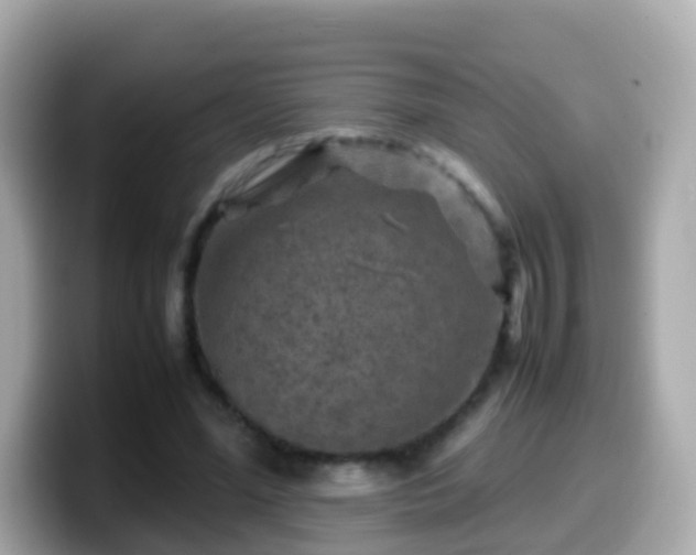 X0000099570588200805231533