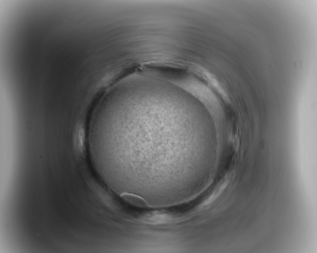 X0000099570589200805231533