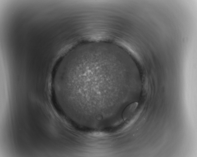 X0000099570590200805231533