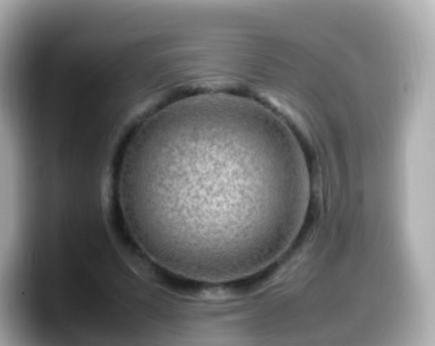 X0000099570591200805231533