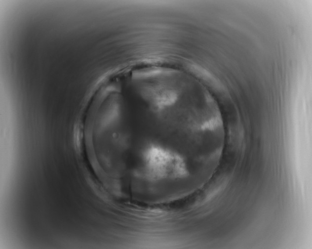 X0000099570592200805231533