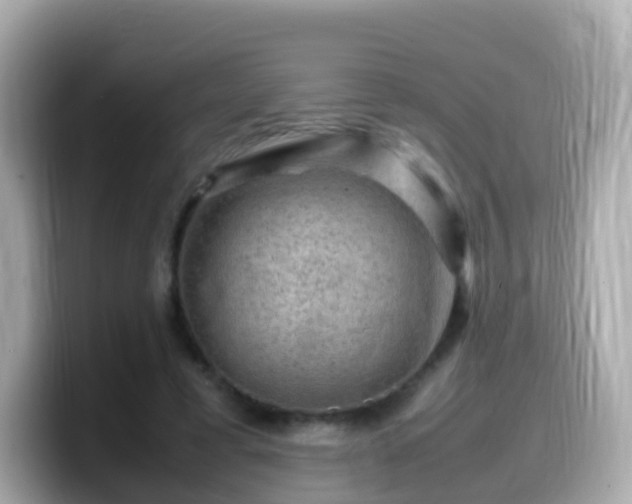 X0000099570593200805231533