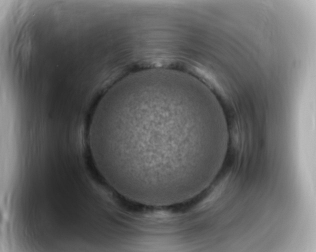 X0000099570594200805231533