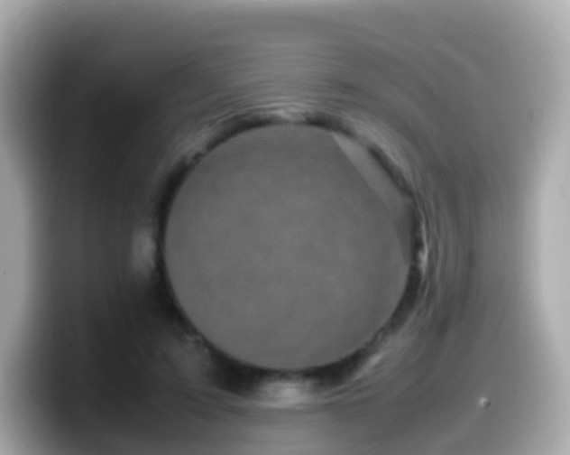 X0000099570595200805231533