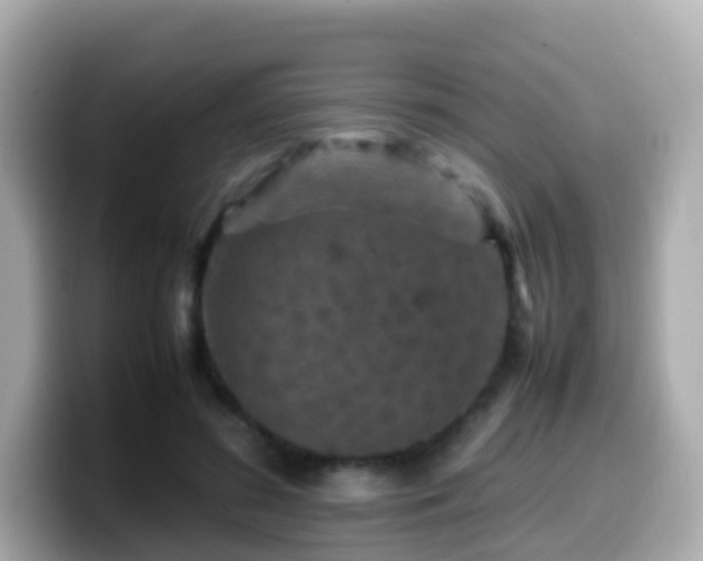 X0000099570596200805231533