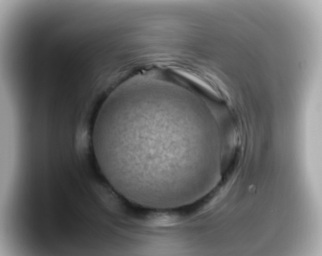 X0000099570597200805231533