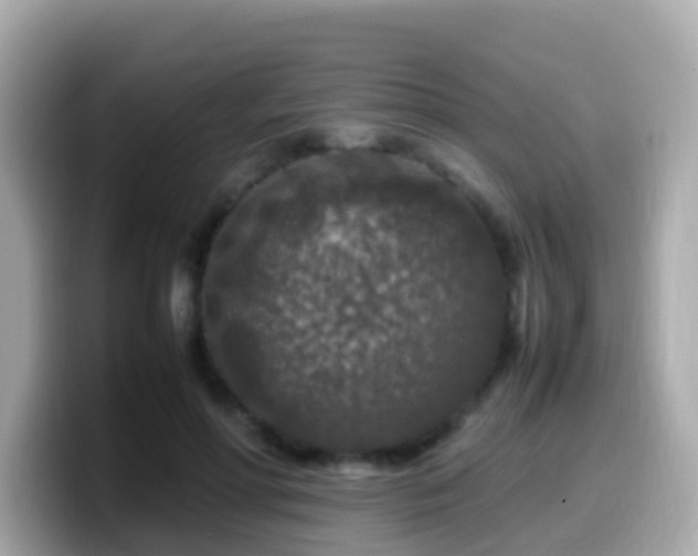 X0000099570598200805231533