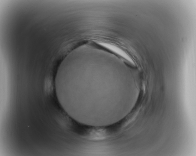 X0000099570599200805231533