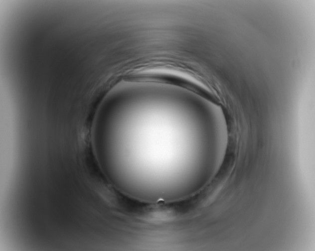 X0000099570601200805231533