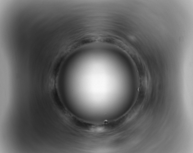 X0000099570602200805231533