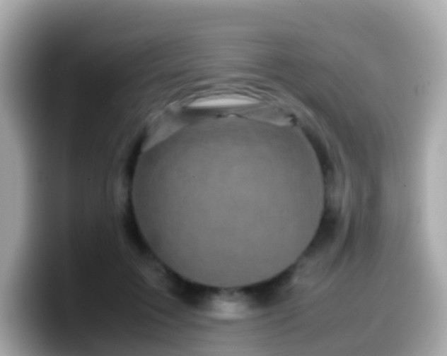 X0000099570603200805231533