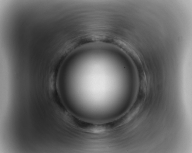 X0000099570604200805231533