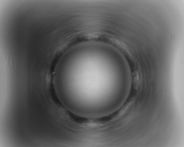X0000099570608200805231533