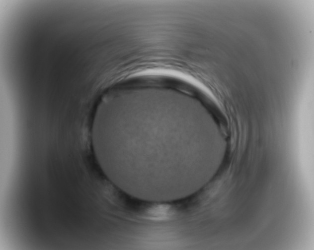 X0000099570609200805231533