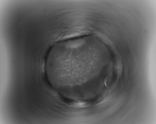 X0000099570610200805231533