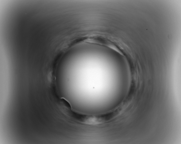 X0000099570611200805231533