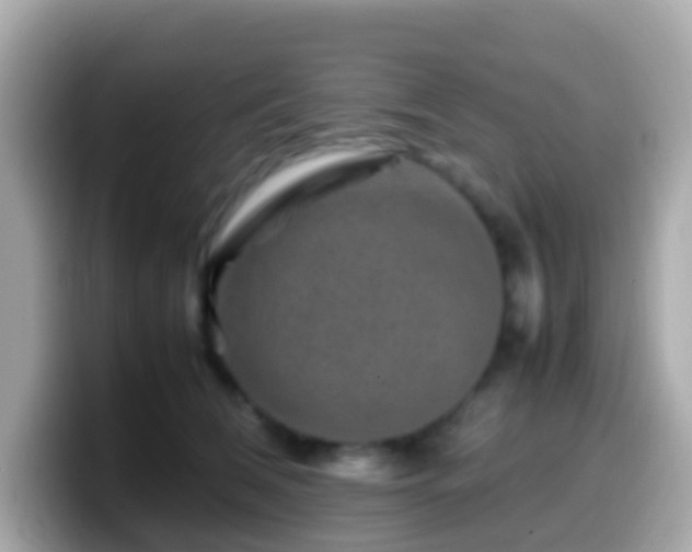 X0000099570612200805231533
