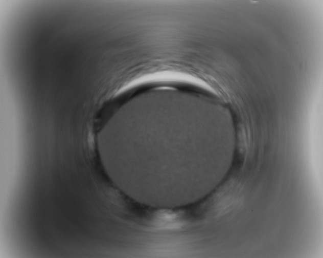 X0000099570613200805231532