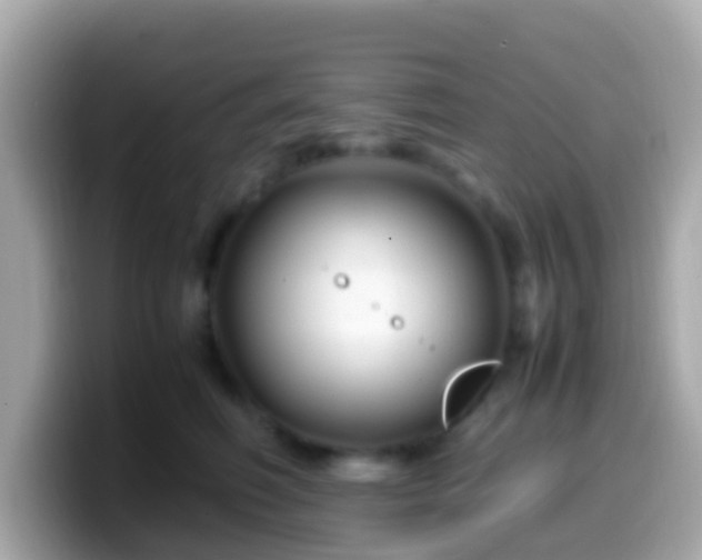 X0000099570614200805231532