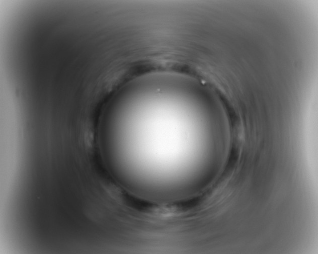 X0000099570615200805231532