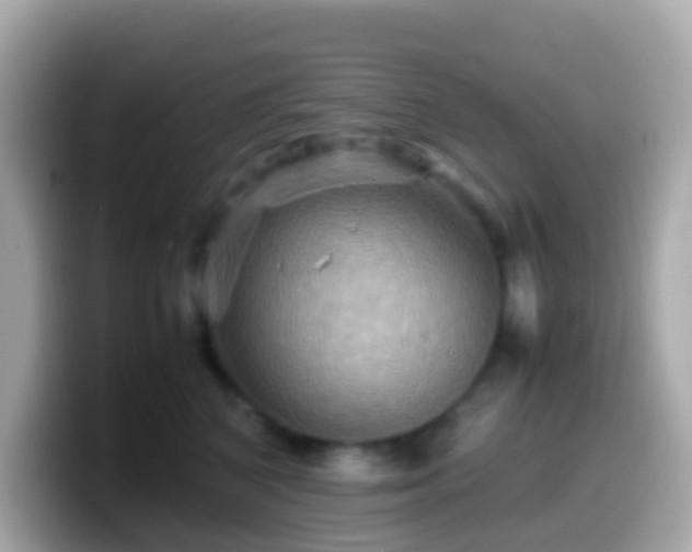 X0000099570616200805231532