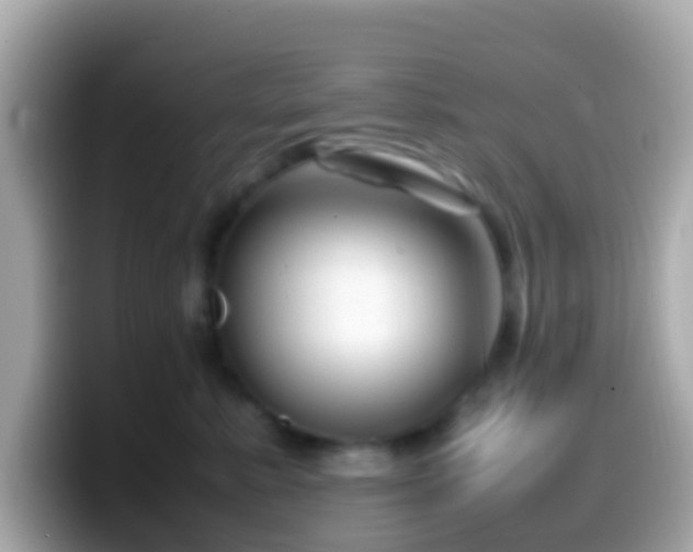 X0000099570619200805231532