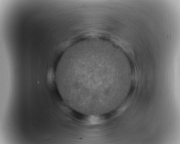 X0000099570623200805231532