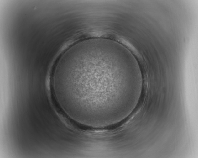 X0000099570626200805231532