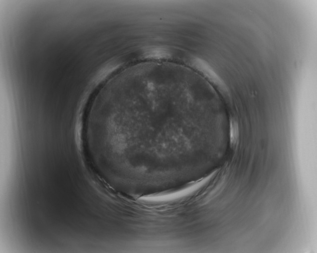 X0000099570627200805231532