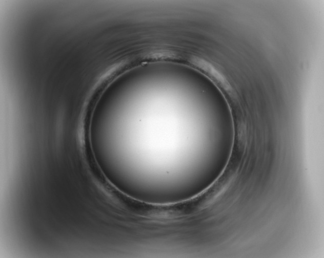 X0000099570629200805231532