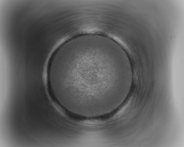 X0000099570630200805231532