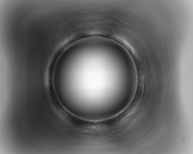 X0000099570631200805231532