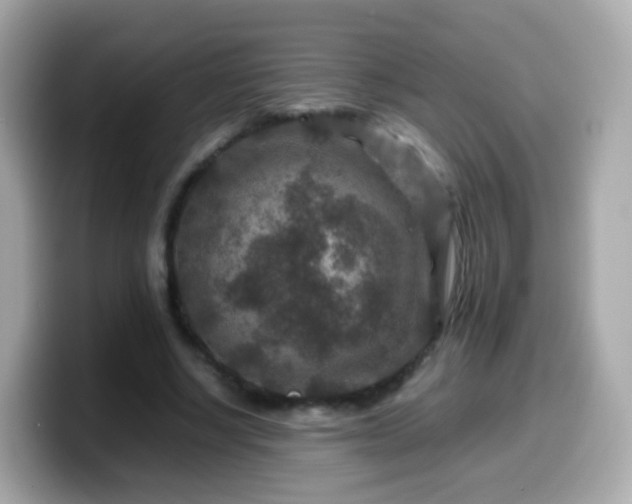 X0000099570634200805231532