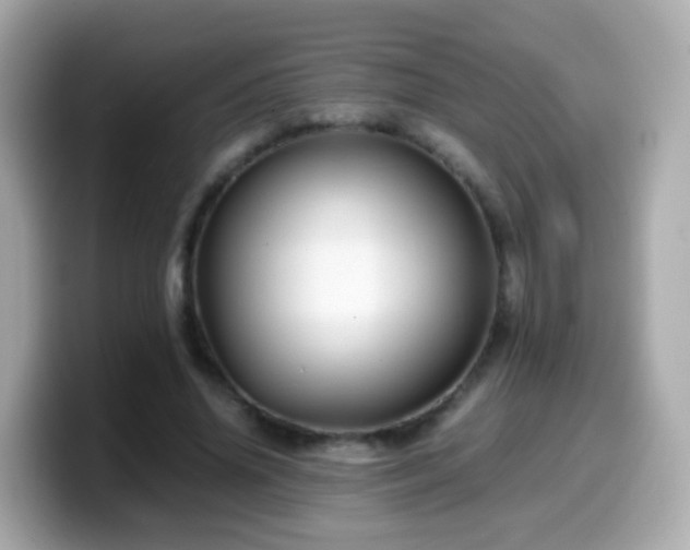 X0000099570636200805231532