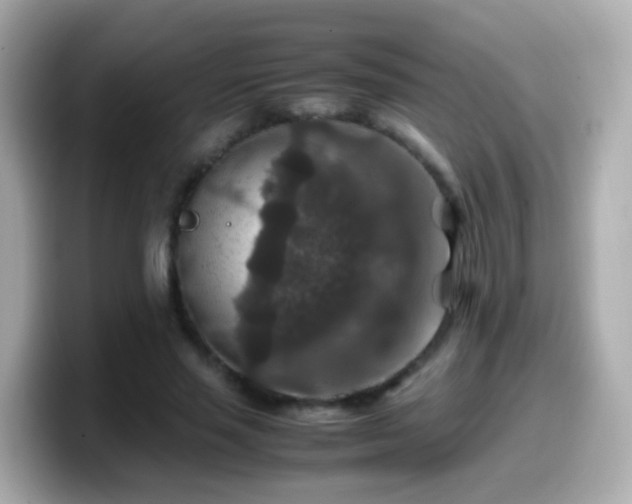 X0000099570637200805231532