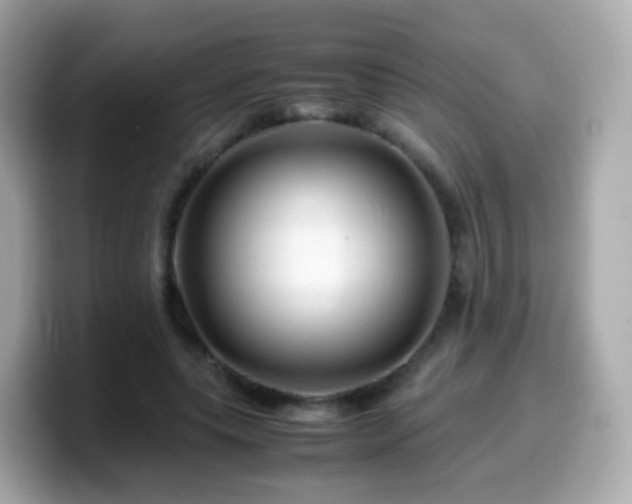 X0000099570639200805231532