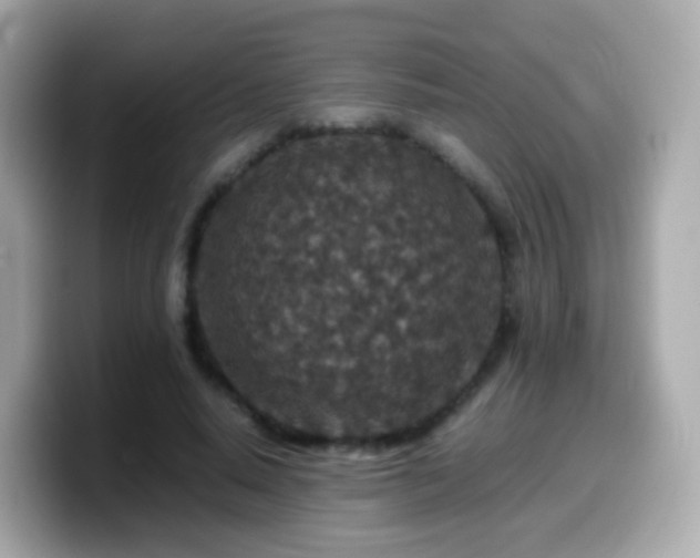 X0000099570640200805231532