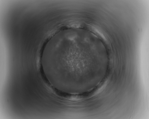 X0000099570641200805231532