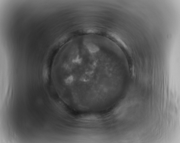 X0000099570643200805231532