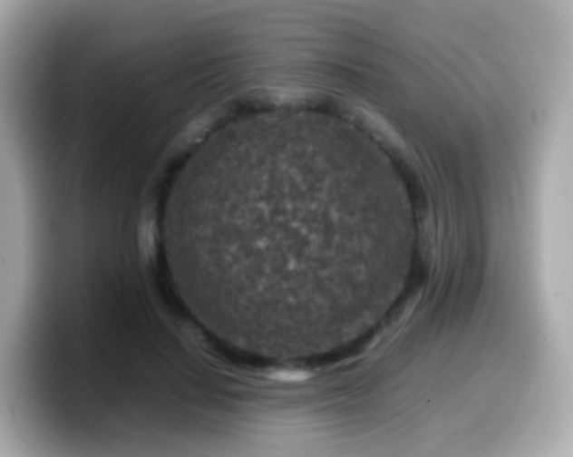 X0000099570644200805231532