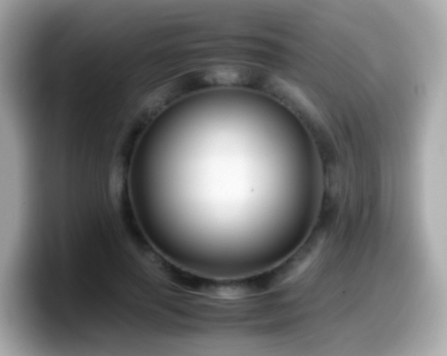 X0000099570645200805231532